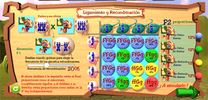 imageLeyes2